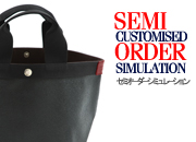 semiorder_sim