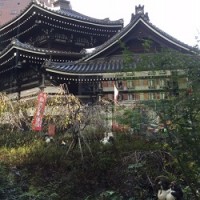 スタ