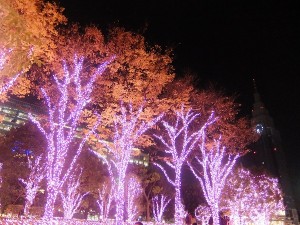 DSCF1554
